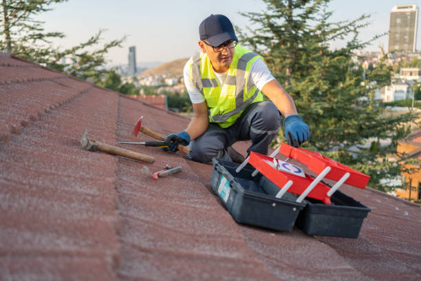 Best Stucco Siding  in Fifth Street, TX